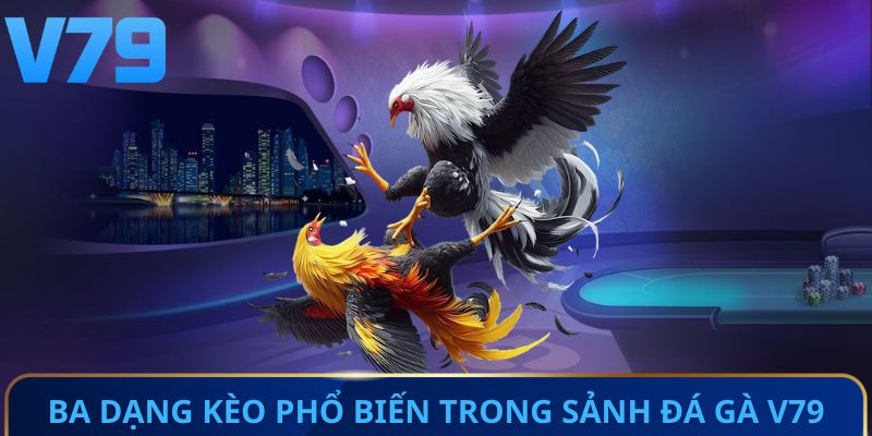Ba dạng kèo phổ biến trong sảnh đá gà V79