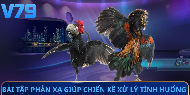 Bài tập phản xạ giúp chiến kê xử lý tình huống 