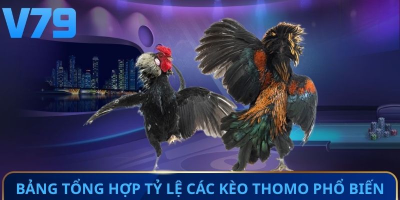 Bảng tổng hợp tỷ lệ các kèo Thomo phổ biến