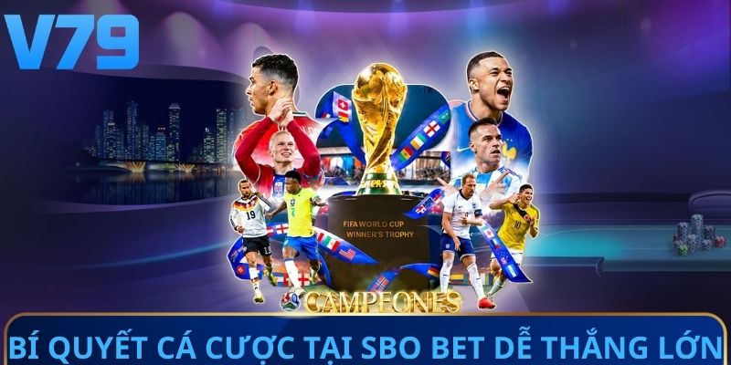 Bí quyết cá cược tại SBO bet dễ thắng lớn