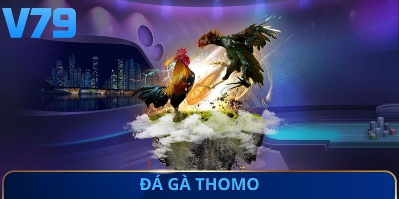 Đá gà Thomo
