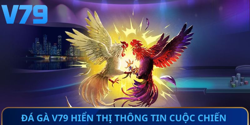 Đá gà V79 hiển thị thông tin cuộc chiến trực tuyến 