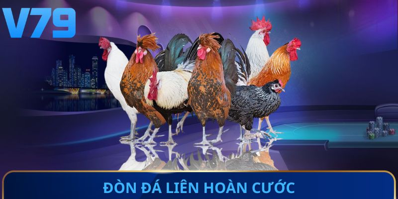 Đòn đá liên hoàn cước