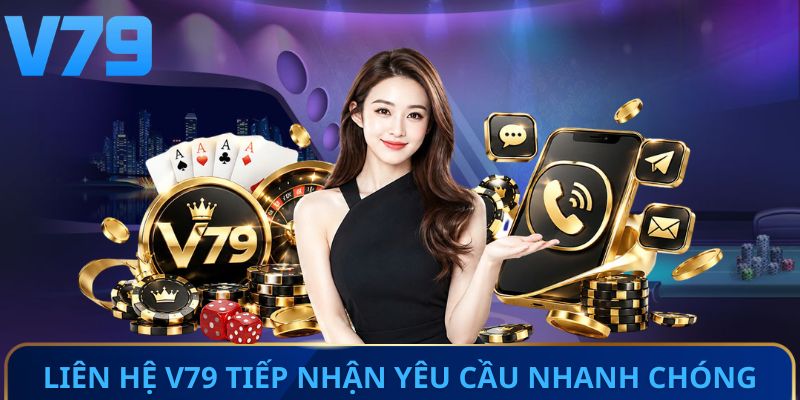 Liên hệ V79 tiếp nhận yêu cầu nhanh chóng